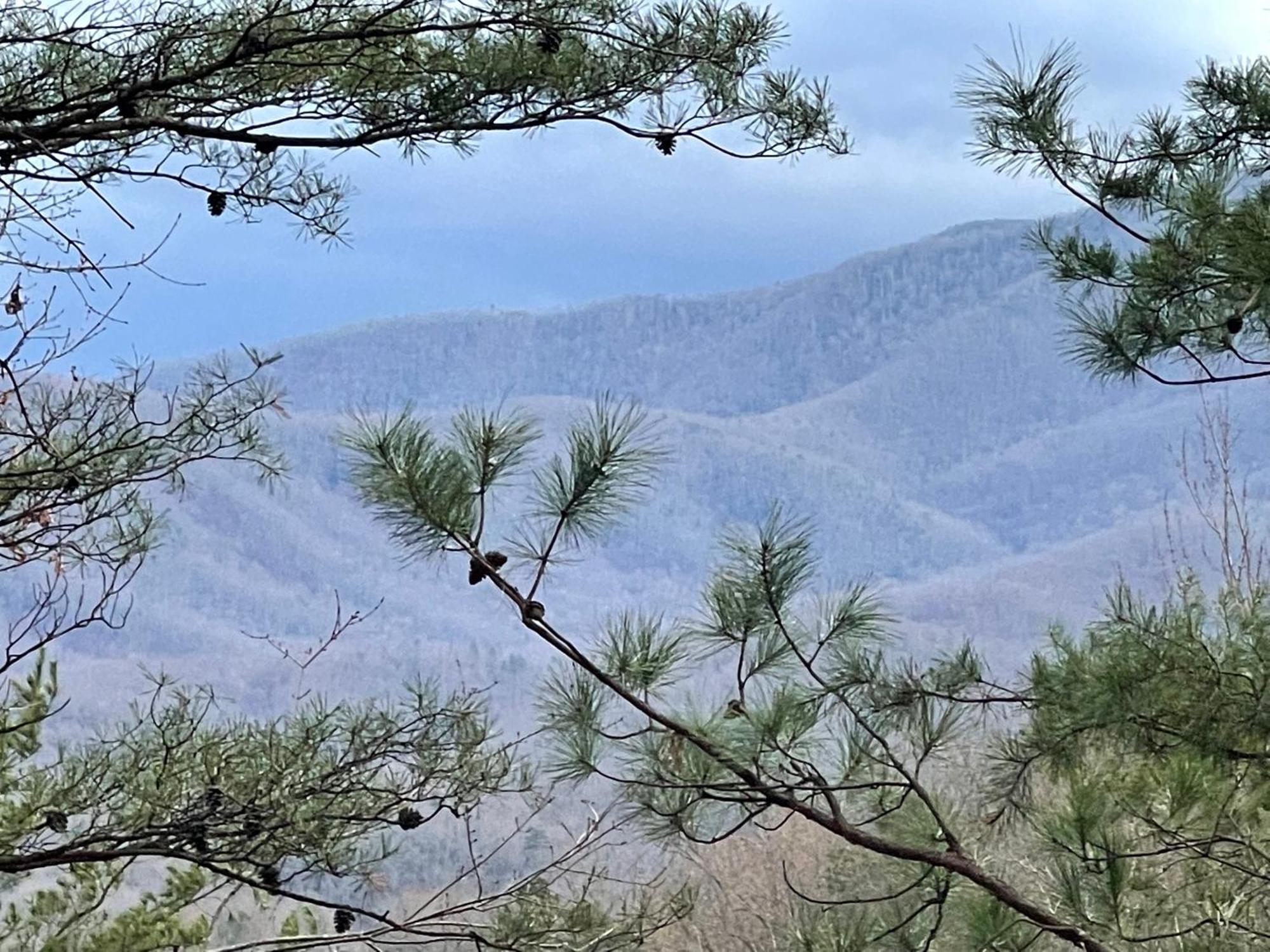Mountain Love Nest Гетлинбург Екстериор снимка